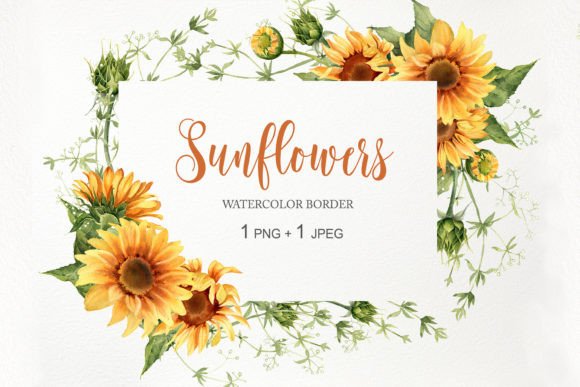 Download Watercolor Sunflower Border Frame PNG - Png Collection