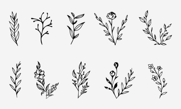 Download Flower Line Drawing Vector Illustration - Premium Bundle