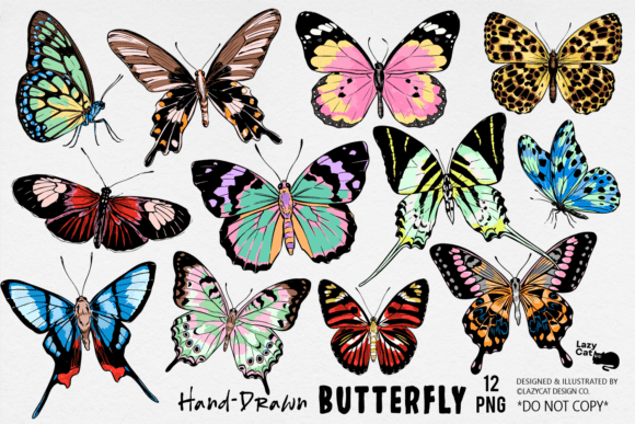 Download Butterfly Illustration PNG Bundle - Png Collection