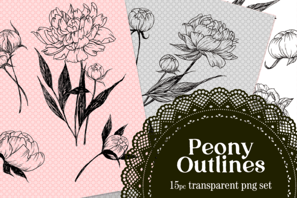 Download Peony Drawn Floral Lines PNG Set - Png Collection